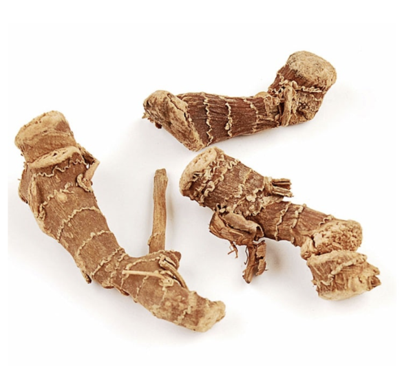 Galangawortel heel
